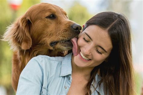 videos de perros con mujeres|Hermosa Mujer Mantenía Relaciones con su perro IMPACTANTE。